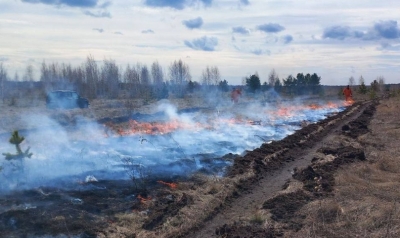 Огненный старт: Лесные пожары в Челябинской области