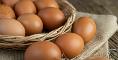 Минсельхоз сообщил о достаточном объеме яиц для обеспечения рынка